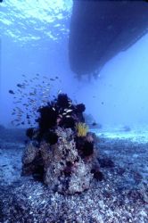 'TIGHT SQUEEZE' Anchored over a very shallow balmy in sea... by Rick Tegeler 